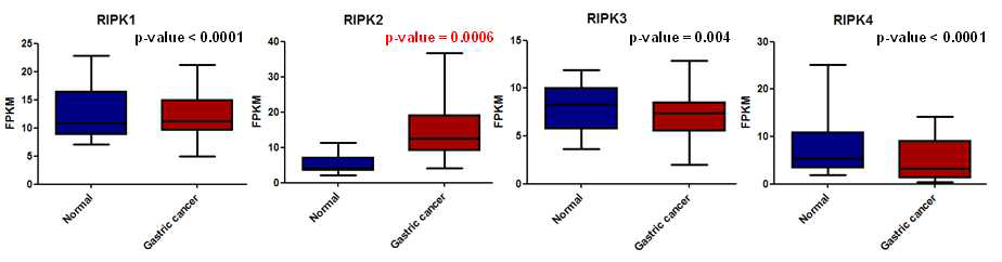 위암 환자의 public microarray dataset 분석을 통한 위암에서 유의적으로 증가된 RIPK2 발현량 검증 (정상 조직 샘플 갯수=19, 위암 조직 샘플 갯수=65).