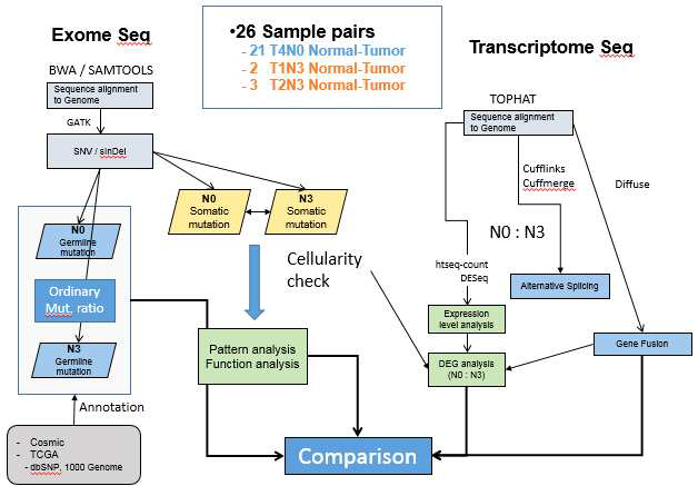 NGS 데이터의 WES, WTS 통합 분석 Scheme