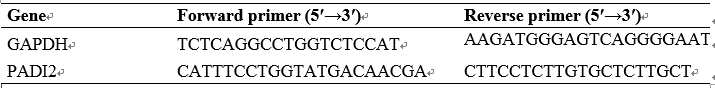 qRT-PCR 프라이머 서열