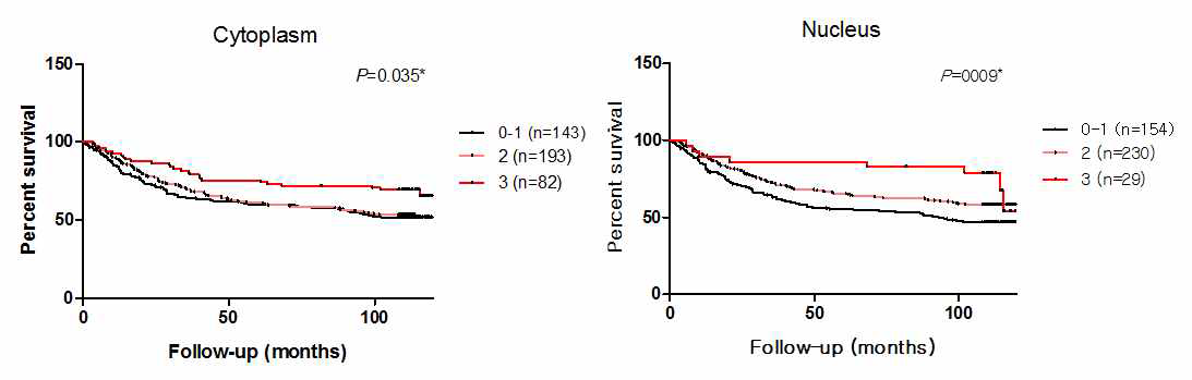세포질 또는 핵에서의 PADI2 발현에 따른 10년 생존율