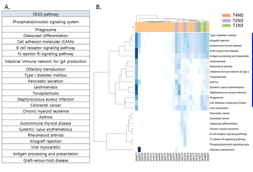 A. 패턴분석을 통해 확인된 KEGG pathway, B. KEFF pathway clustering 분석에 대한 heatmap.