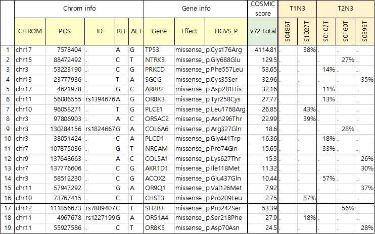 KEGG pathway 관련 위암 변이 유전자 리스트
