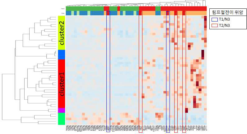 GSEA 분석을 통한 clustering pattern analysis.