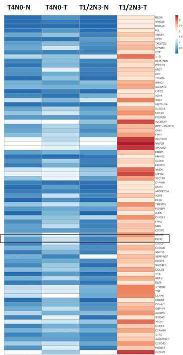 림프절 전이위암에서 특이적으로 증가된 유전자 heatmap