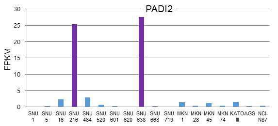 18개의 인간 위암 세포주에서 RNA sequencing을 이용한 PADI2 유전자 발현 분석