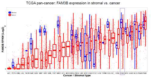 TCGA의 다양한 암에 따른 RNA sequencing을 이용한 FAM3B 유전자 발현 분석