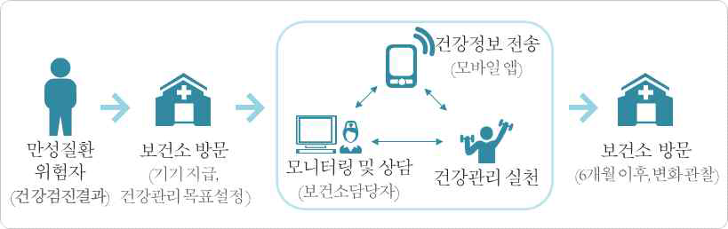 모바일 헬스케어 시범사업 서비스 모형