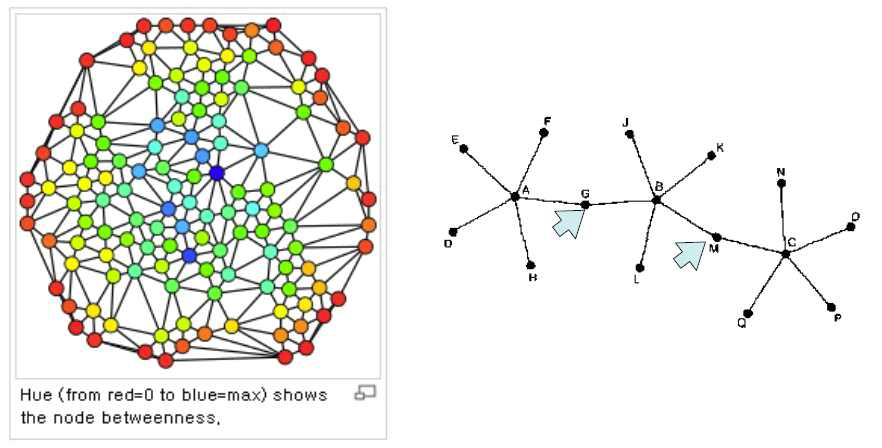 Betweenness Centrality : 파란색일 수록 중심성이 높고, 빨간색 일수록 낮음