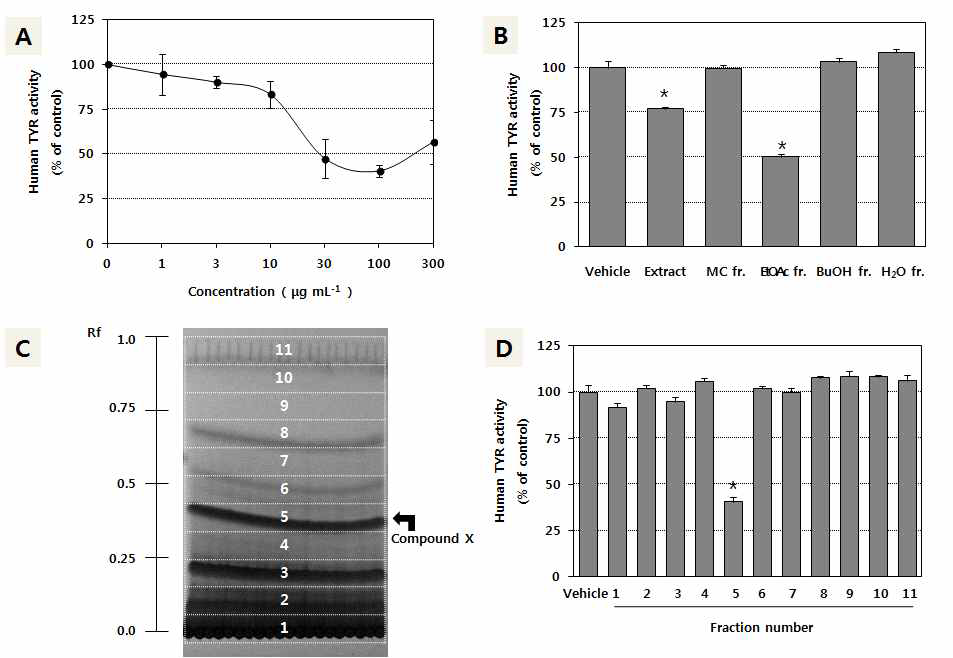 포도등 추출물에서 인체 타이로시나제 저해 활성 물질의 추적