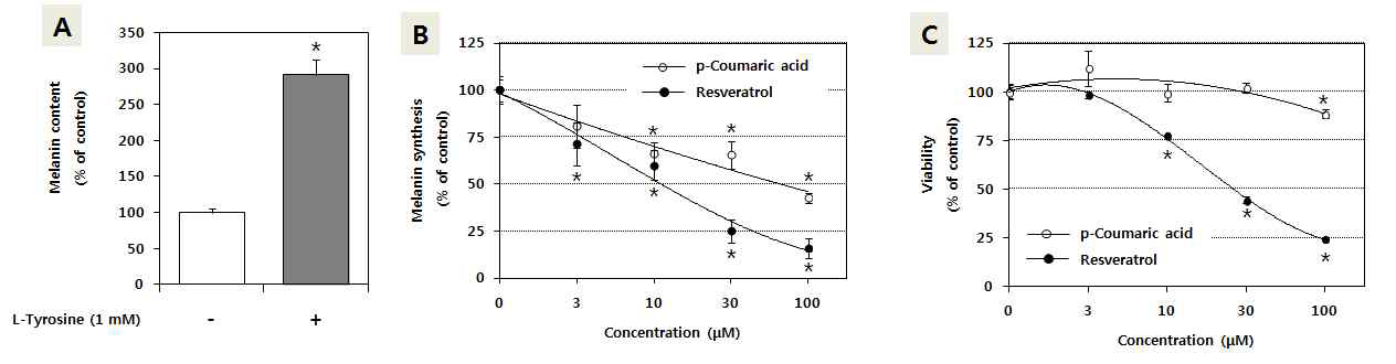 인체 멜라노사이트에서 멜라닌 생성에 대한 resveratrol, p-coumaric acid의 영향 비교