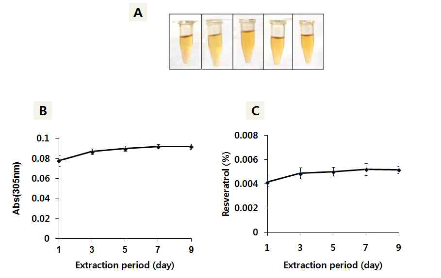 포도등의 추출 기간에 따른 색상 및 레스베라트롤 함량 (추출용매는 70% 에탄올)