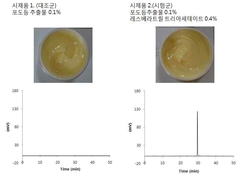 시제품의 제조 및 분석