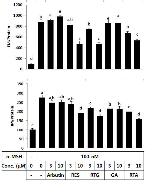 쥐 melanoma B16에서 멜라닌 생성 억제 작용