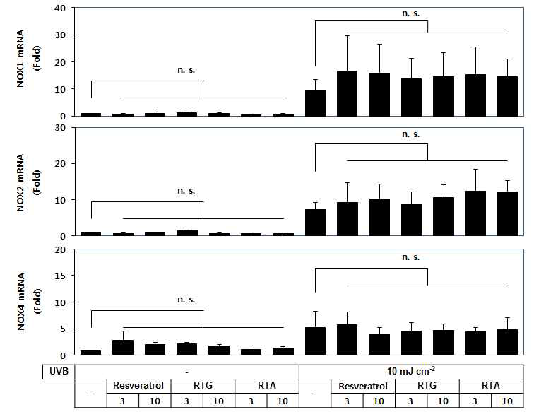 자외선에 위한 NOX발현에 대한 레스베라트롤 유도체의 영향