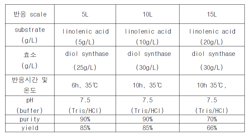 5,8-DODA scale-up 반응