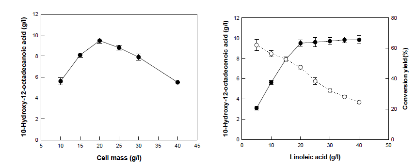 (A) Effect of cell concentration on the production of 10-hydroxy-12(Z)-octadecenoic acid and by washed of S. nitririreducens. (B) Effect of the Linoleiec acid concentration on the production and the conversion yield of 10-hydroxy-12(Z)-octadecenoic acid by washed cells of S. nitritireducens