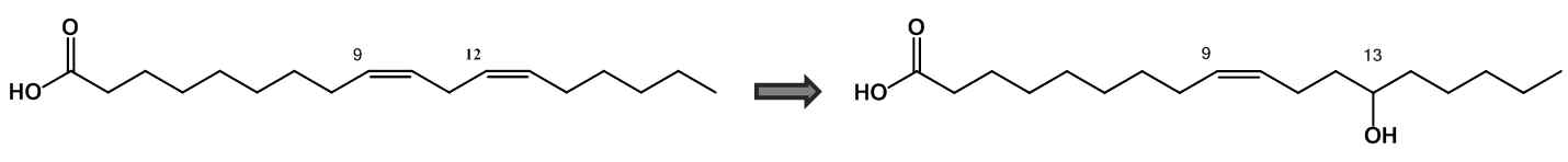 Scheme for regio- and stereo-selective production of 13S-hydroxy-9Z-octadecenoic acid (13S-HOD) from linoleic acid using whole recombinant Escherichia coli cells expressing linoleate 13-hydratase (LHT-13)