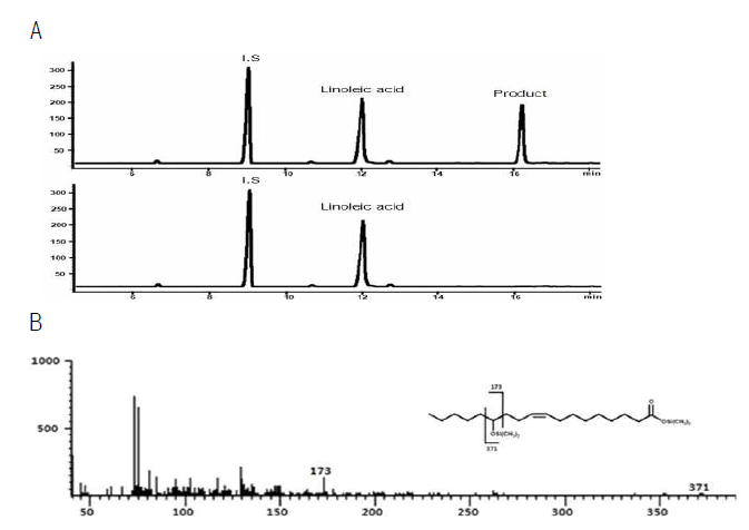 (A) SDS-PAGE analysis of expressed and purified 13-hydratase. Gas chromatogram (B) and GC-MS of 13-HOD
