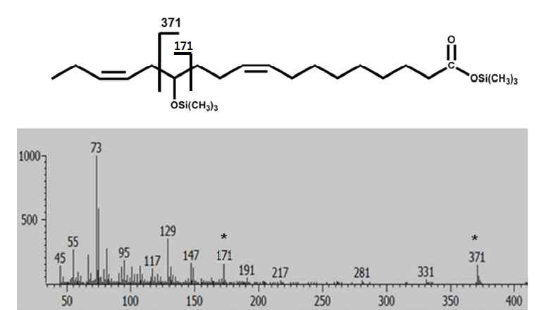 GC mass analysis of 13-hydroxy-9,15(Z,Z)-octadecadienoic acid from α-linolenic acid by L. acidophilus linoleate 13-hydratase