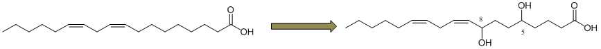 Scheme of 5,8-dihydroxy-9Z,12Z-octadecadienoic acid production from linoleic acid