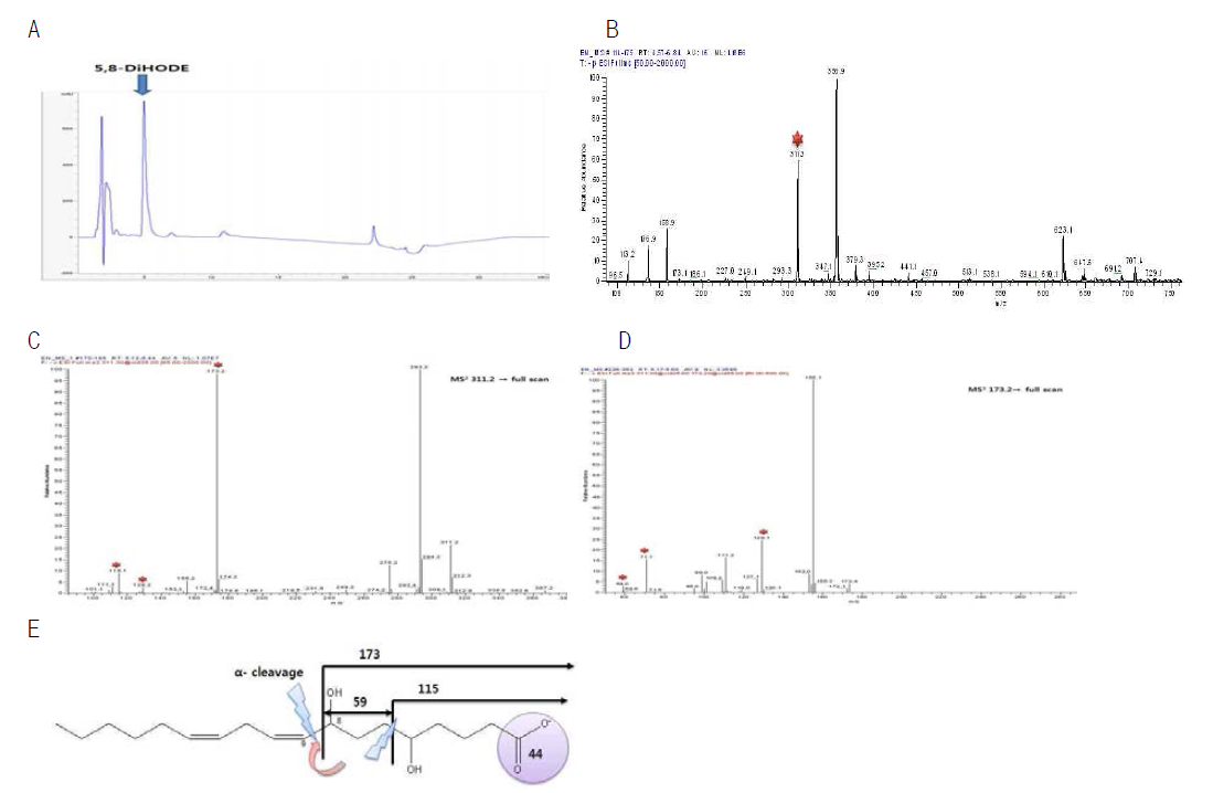 HPLC chromatogram (A), LC-ESI-M/S (B), LC-ESI-MS/MS (C, D), and structure of purified 5,8-dihydroxy octadecadienoic acid (5,8-diHODE) from linoleic acid by diol synthase