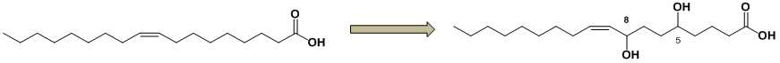 Scheme of 5,8-dihydroxy-octadecenoic acid production from oleic acid
