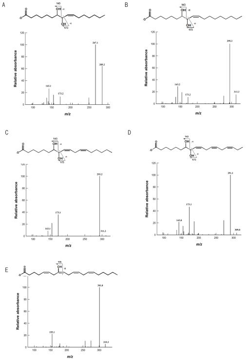 LC-MS/MS spectrum of the reaction products obtained from the conversion of fatty acids