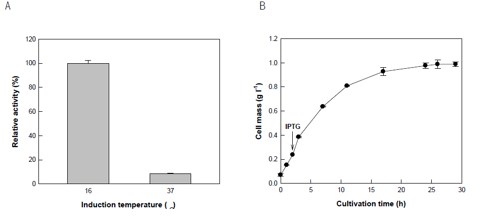 Effect of induction temperature on the expression of PpoC in E. coli and cell mass of recombinant E. coli expressing PpoC after induction