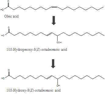 Scheme of 10S-hydroxyoctadecenoic acid production from oleic acid