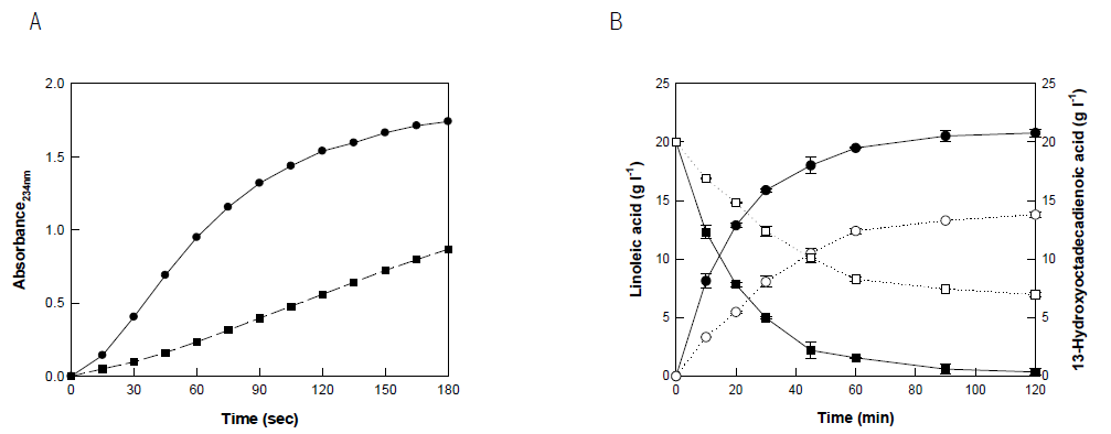 Time-course production of 13-hydroxy-9,11(Z,E)-octadecadienoic acid from linoleic acid by B. thailandensis lipoxygenase and soybean lipoxygenase (commercial enzyme)