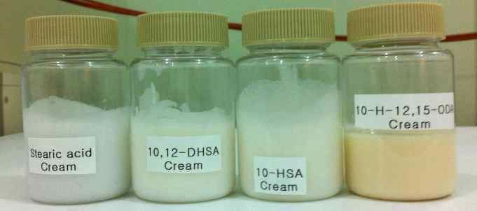 크림 타입 제형 (기본, 10,12-DHSA, 10-HSA, 10-H-12,15-ODA)