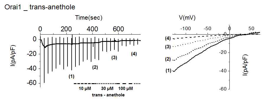 ORAI1 inhibitory effect of trans-anethole