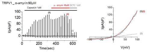 α-Amyrin