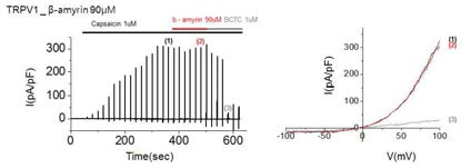 β-Amyrin