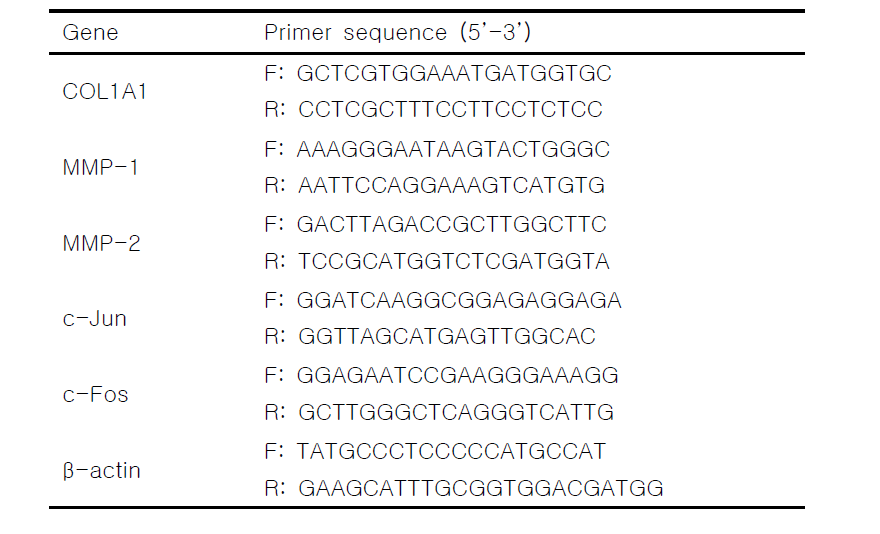 피부세포재생관련 관련인자 PCR primer.