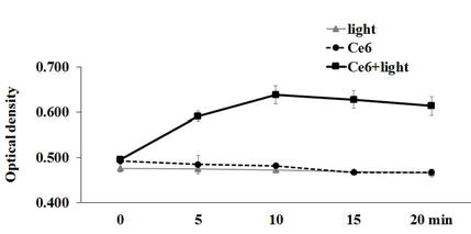 클로린 e6 매개 PDT에 의한 자유 라디칼 생성량 변화
