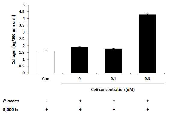Sircol collagen assay를 통한 클로린 e6 매개 PDT에 의한 HaCaT 세포의 collagen 합성량 증가.