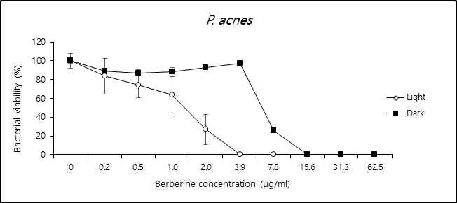 Berberine 매개 PDT의 P. acnes 항균력 측정