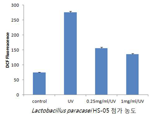 Lactobacillus paracasei HS-05의 파쇄물의 UV-B에 의한 ROS 생성 저해 효과