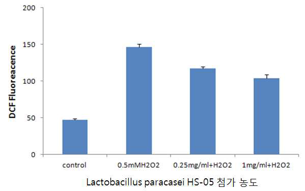 Lactobacillus paracasei HS-05 파쇄물의 ROS 생성 저해 효과