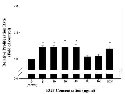5% KSR, 12ng/ml bFGF가 희석된 배양액에 EGF를 농도 별로첨가하여 진피 섬유아세포의 증식률 비교