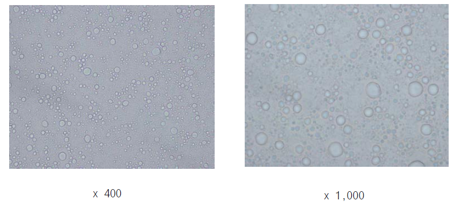 비이온계면활성제 유화 제품의 현미경 입자 사진