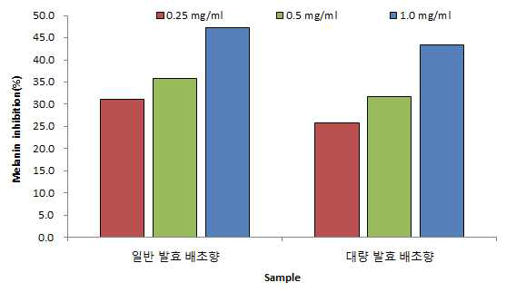 일반 및 대량 배양 발효 배초향의 Melanin 저해율 비교