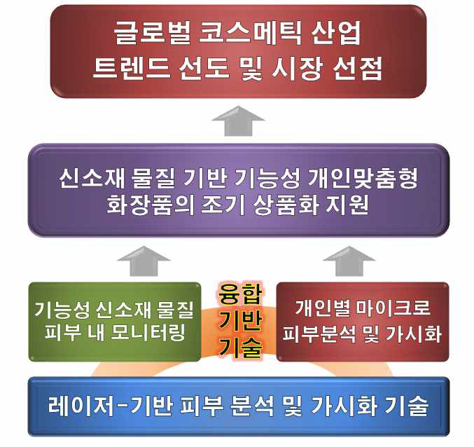 융합기반기술로서 레이저 기반 피부 분석 및 가시화 기술의 경제적/산업적/기술적 활용도