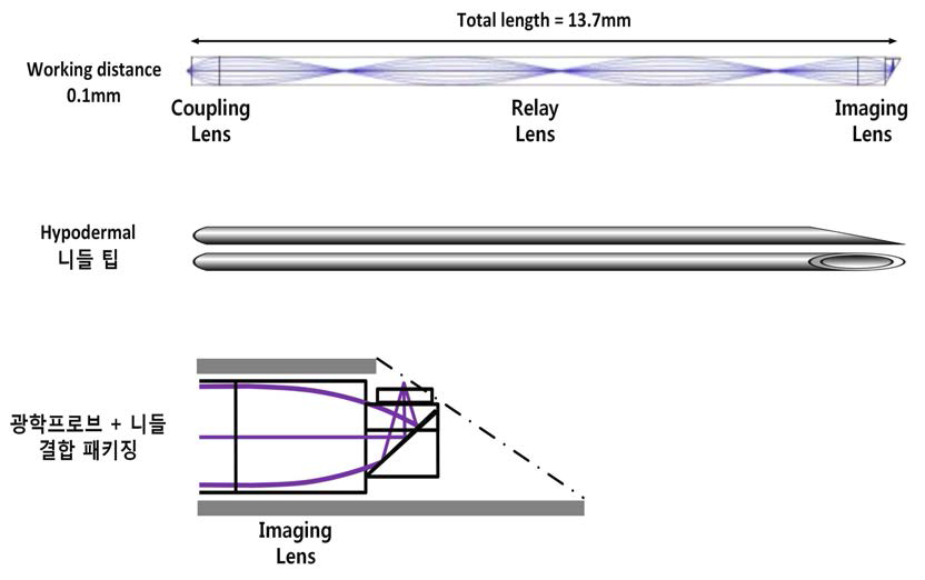 Triplet 구조 GRIN 렌즈 기반의 광학 영상 프로브의 시뮬레이션 및 디자인 결과, Hypodermal 니들 팁과 결속된 광학프로브의 개략도