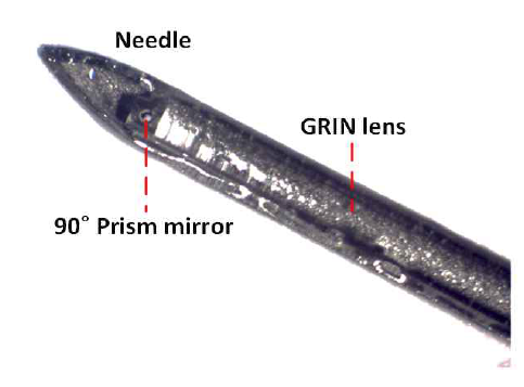 결삭 가공된 Hypodermic 니들로 삽입된 side-view GRIN 렌즈 기반 endoscope 사진