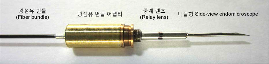 광섬유 번들과 중계 렌즈, 니들형 초소형 side-view endomicroscope의 결합 사진