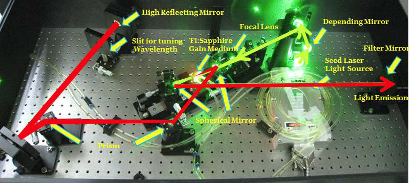 고속의 Two-photon 현미경 개발에 사용된 Femto-second 레이저