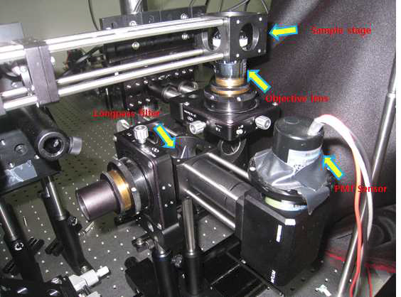 Long pass filter와 PMT sensor를 이용한 형광 빛의 detection