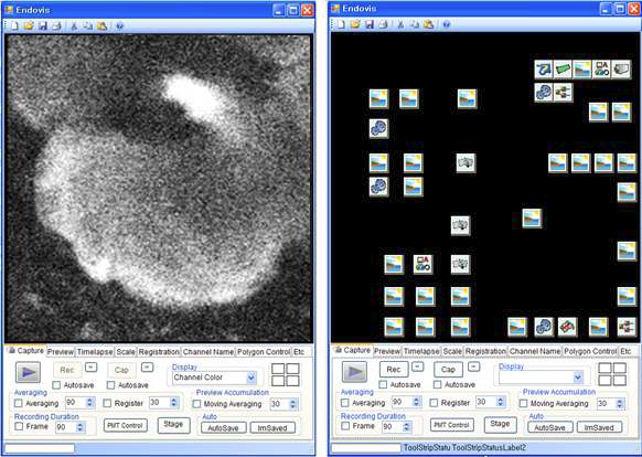 개발된 고속 Two-photon 현미경용 이미징 소프트웨어의 GUI(좌)와 영상 속도 및 크기 조절을 위한 Visual basic source(우)